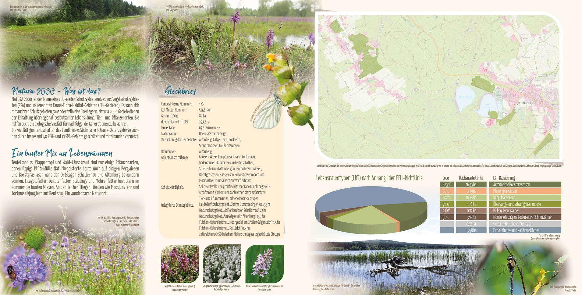 tl_files/downloads/Bilder Projekte/Projektstellen/Natura 2000 1.0/Flyer/Bergwiesen bei Altenberg und Schellerhau_2.jpg